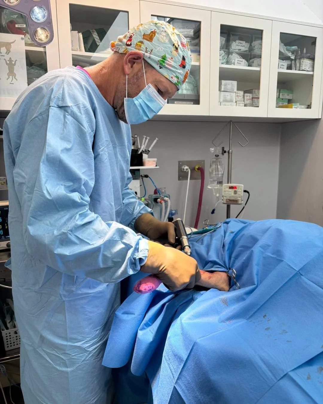 At Wangaratta Vet Clinic, we&rsquo;re proud to offer advanced orthopaedic care right here in our region.

Dr Adam and Dr Felix have been providing specialised orthopaedic procedures for a number of years, helping pets get back on their feet and back 