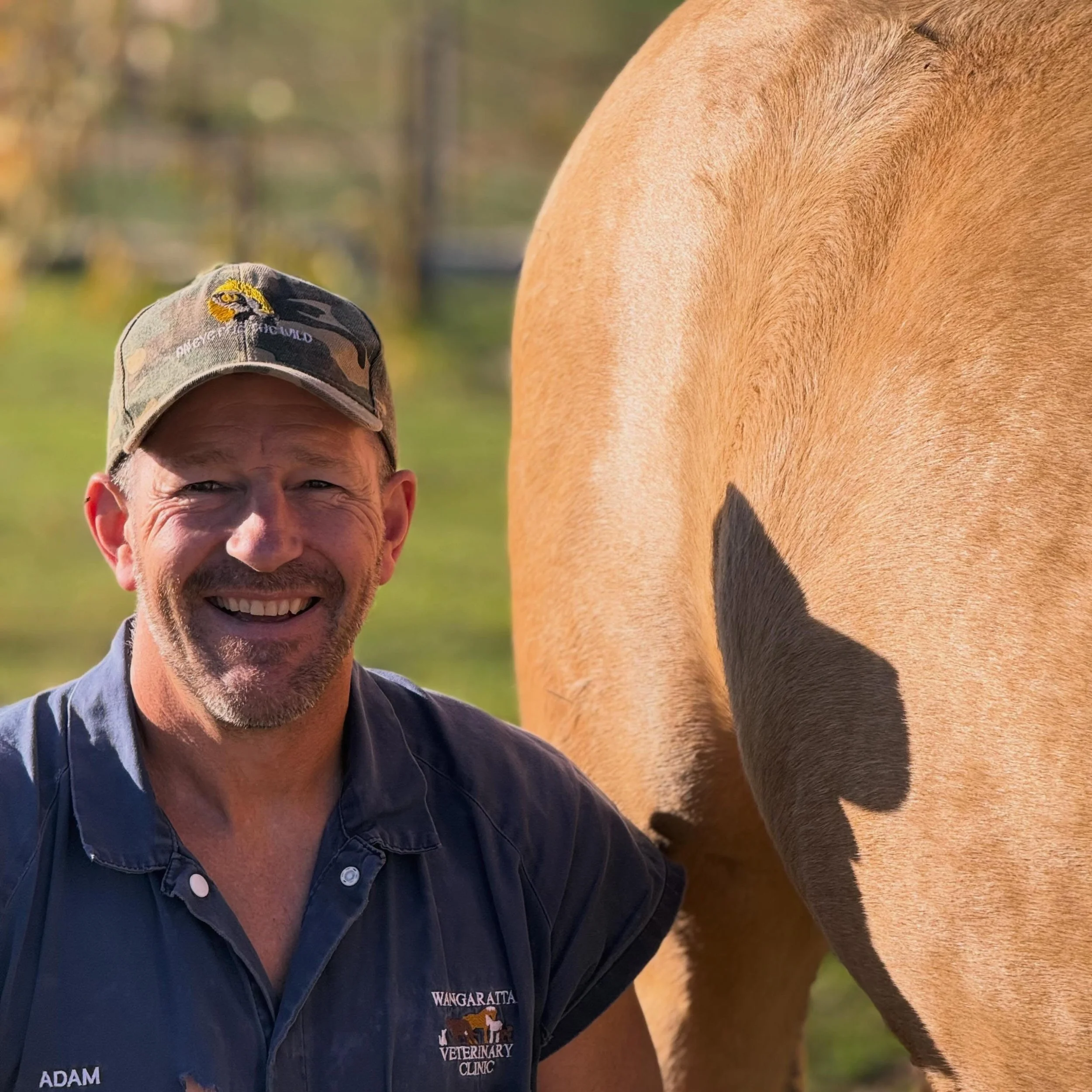A little behind-the-scenes from a recent visit with Dr Adam.🐴

#wangarattavetclinic #wangarattavet #vetclinic #wangaratta #largeanimalvet
