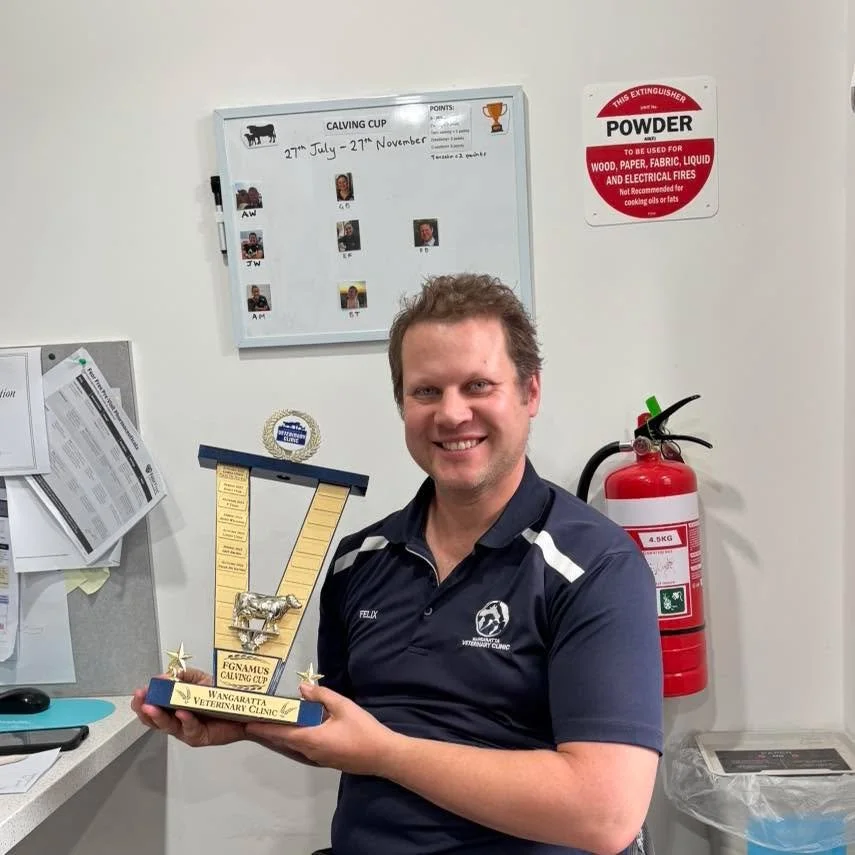Congratulations Dr Felix on scoring the Calving Cup for Autumn 2026! 🏆👏🏽

#wangarattavet #wangarattavetclinic #wangaratta #vetclinic #cattlevet #largeanimalvet #calving