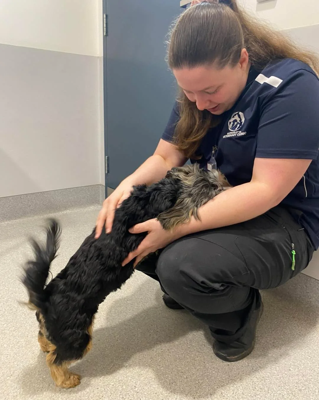 Lucy and Bentley visited us for their vaccinations, but one of the highlights of the day was seeing Lucy reunited with our nurse, Taylah, after graduating from puppy preschool with her. 🐾💙

It was such a sweet moment watching Lucy recognise Taylah 