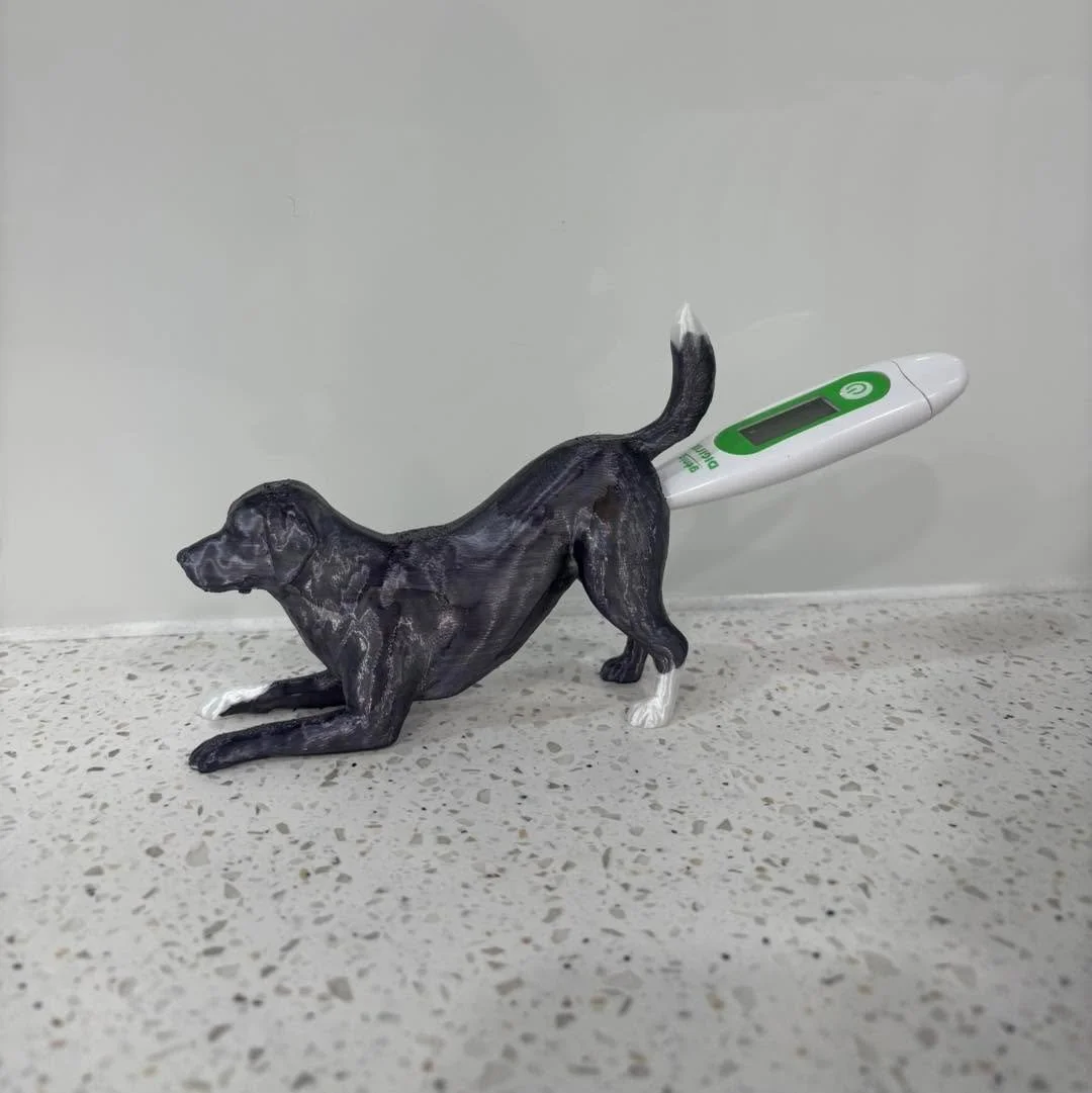 Adam has shown us his creative side!

3D printing some thermometer holders. 🤣

#wangarattavet #wangarattavetclinic #wangaratta #vetclinic