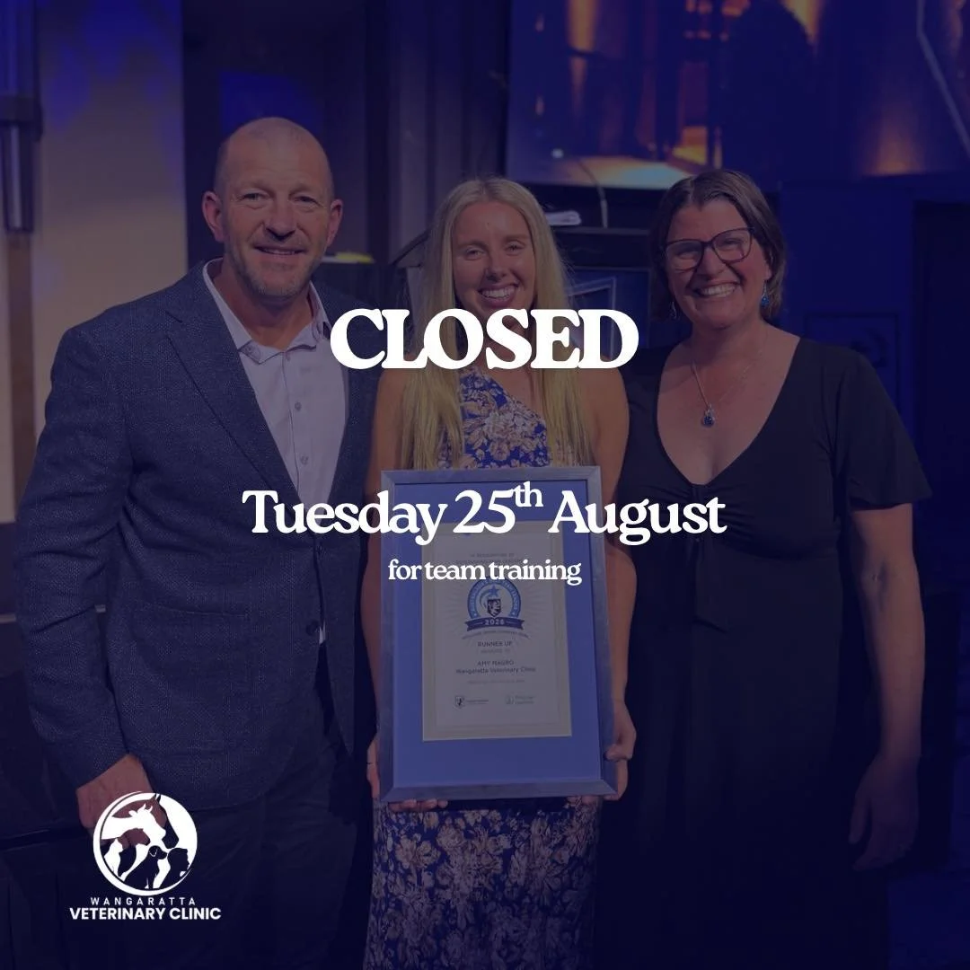We are CLOSED tomorrow, Tuesday 25th of August for team training. 

For any emergencies please phone our friends at Warby Street on 0357217177. 

Thank you for your understanding. 
See you all on Wednesday!