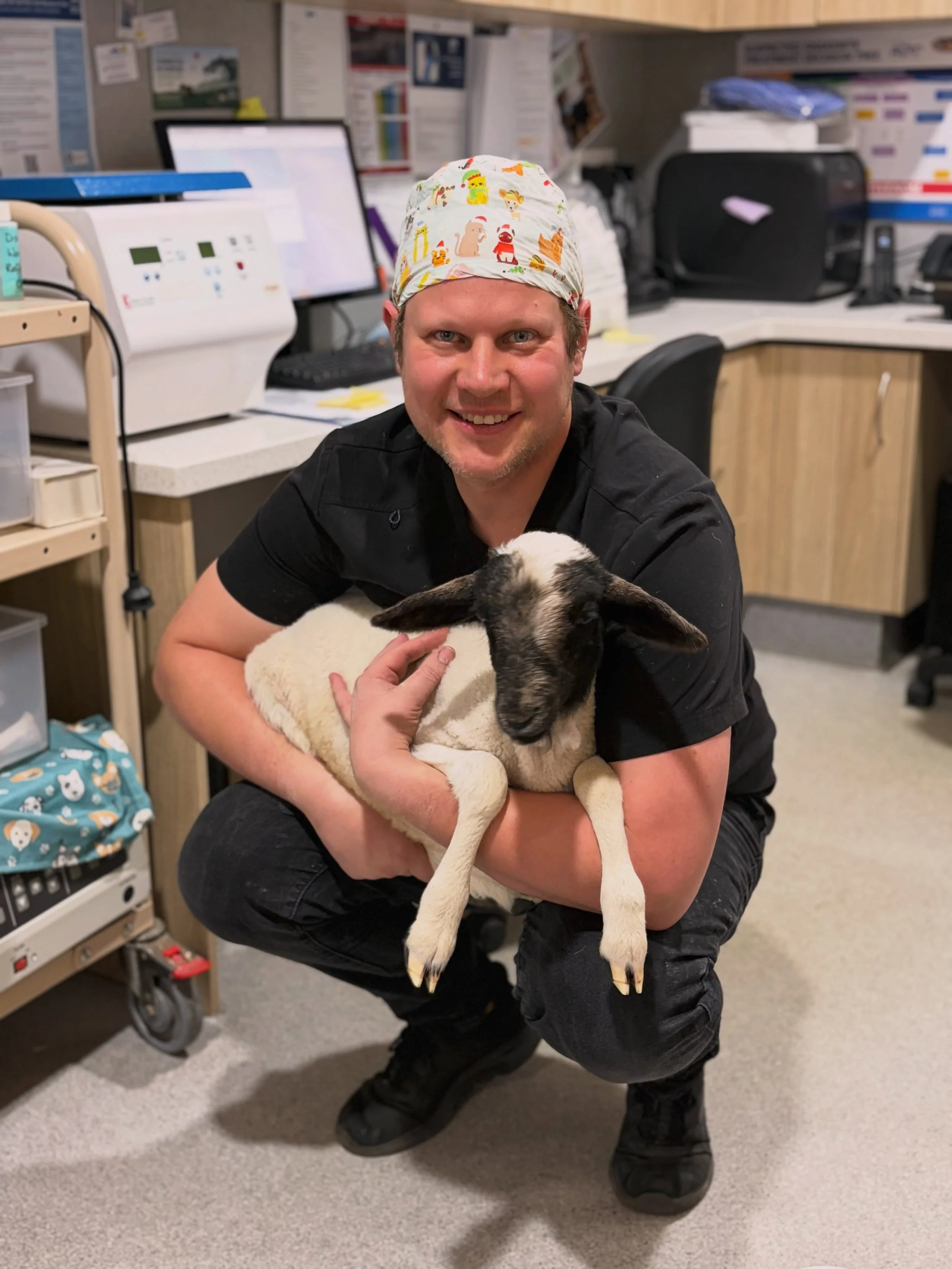 Felix with a very special patient yesterday. 🐑🩶

#wangarattavetclinic #wangarattavet #wangaratta #largeanimalvet #sheepvet