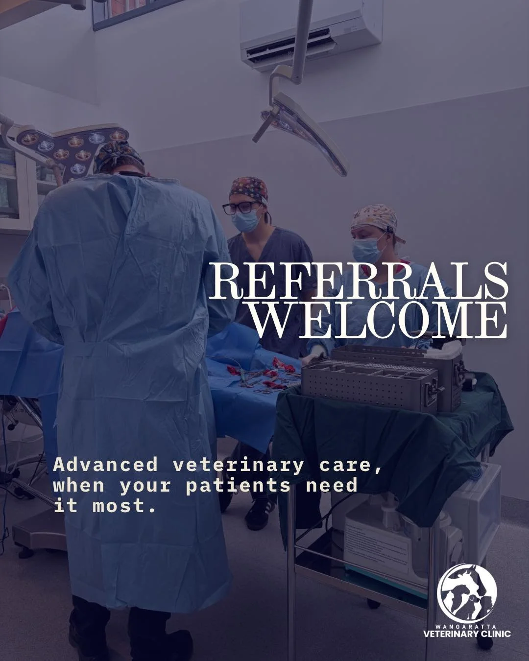 Referrals welcome! 🐾

We accept most referral cases and are here to support you and your patients with advanced surgical care.

Our orthopaedic surgeons, Dr Felix and Dr Adam, are available to discuss cases, answer questions and help determine the m