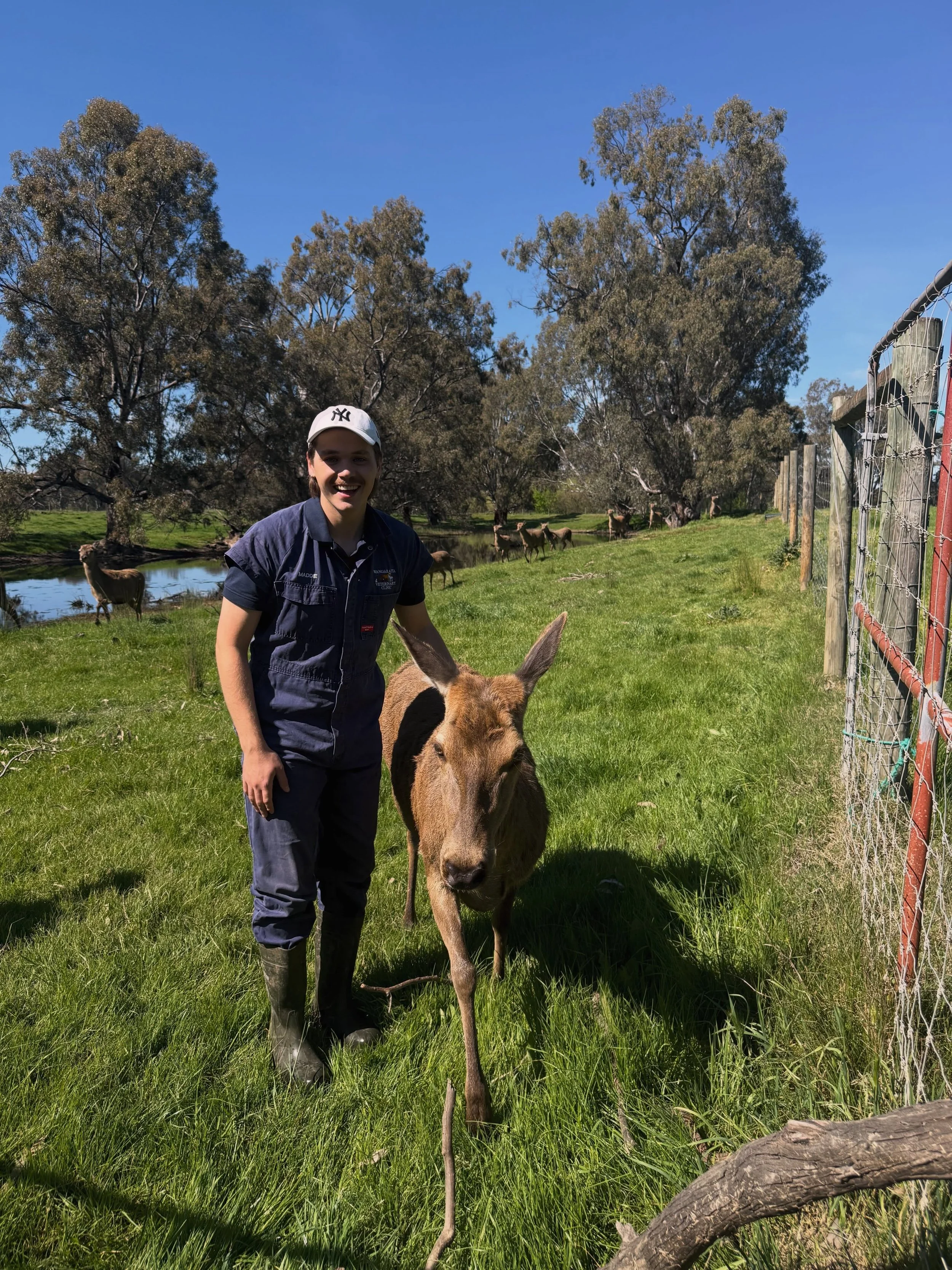 A warm welcome to Julius! 🇩🇪🇦🇺

We&rsquo;re delighted to welcome international veterinary student Julius from Germany to our clinic! 🩺

As part of his veterinary experience, Julius recently joined us on a farm visit and had the chance to meet Ap