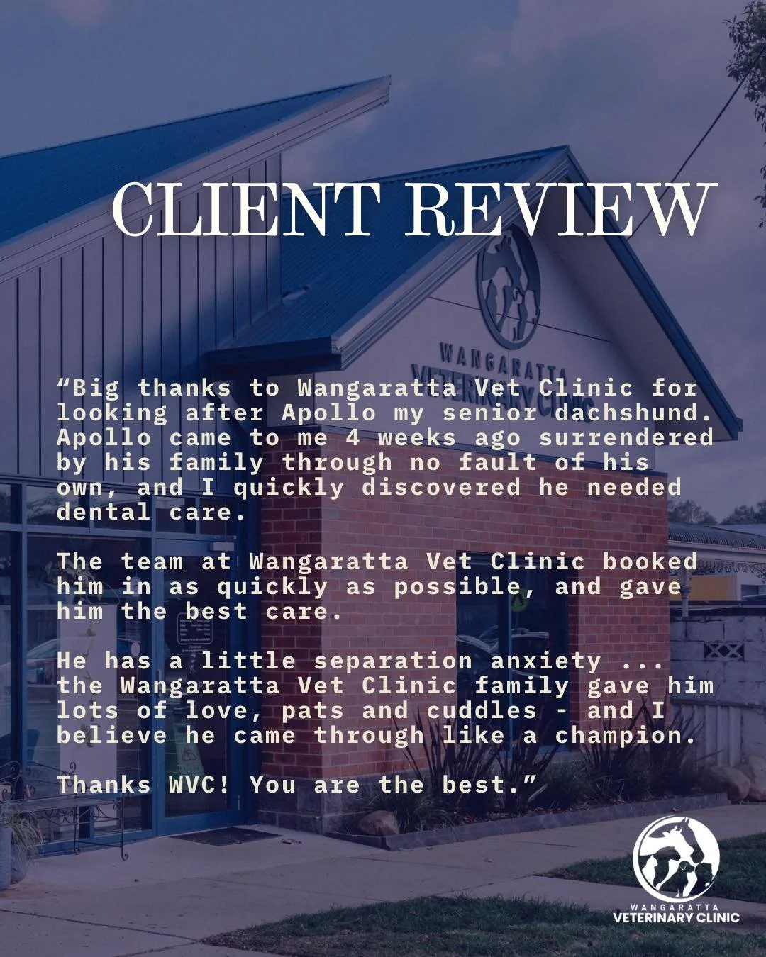 A lovely review from one of our valued clients. ✨