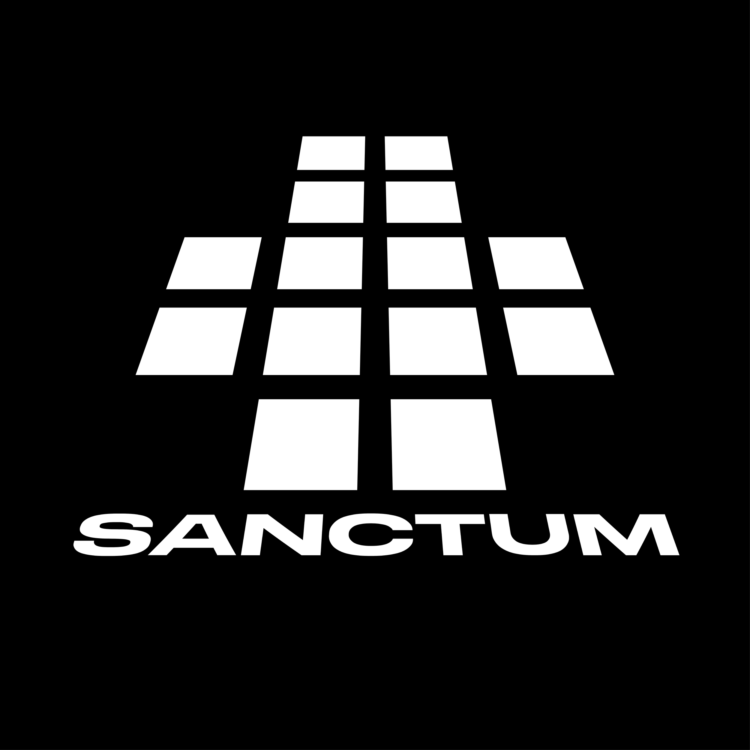 sanctum_vector_slanted_preview.png