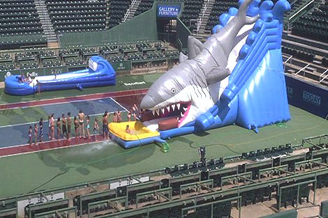 Shark Slide
