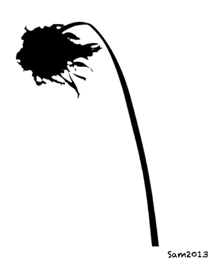 flor.png