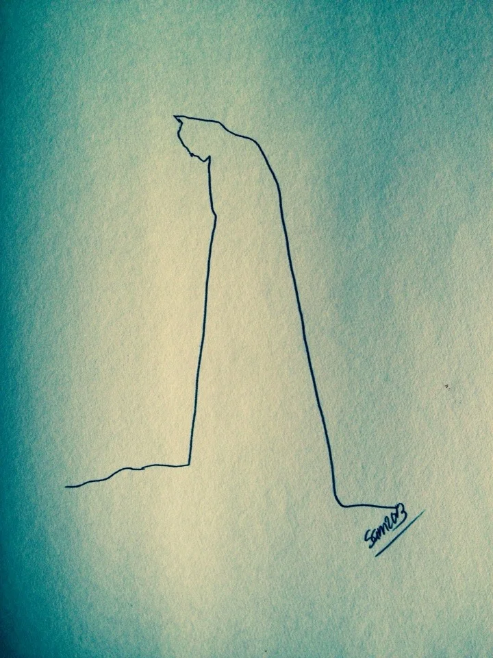 1978782_838564556160772_1568219178_n.jpg