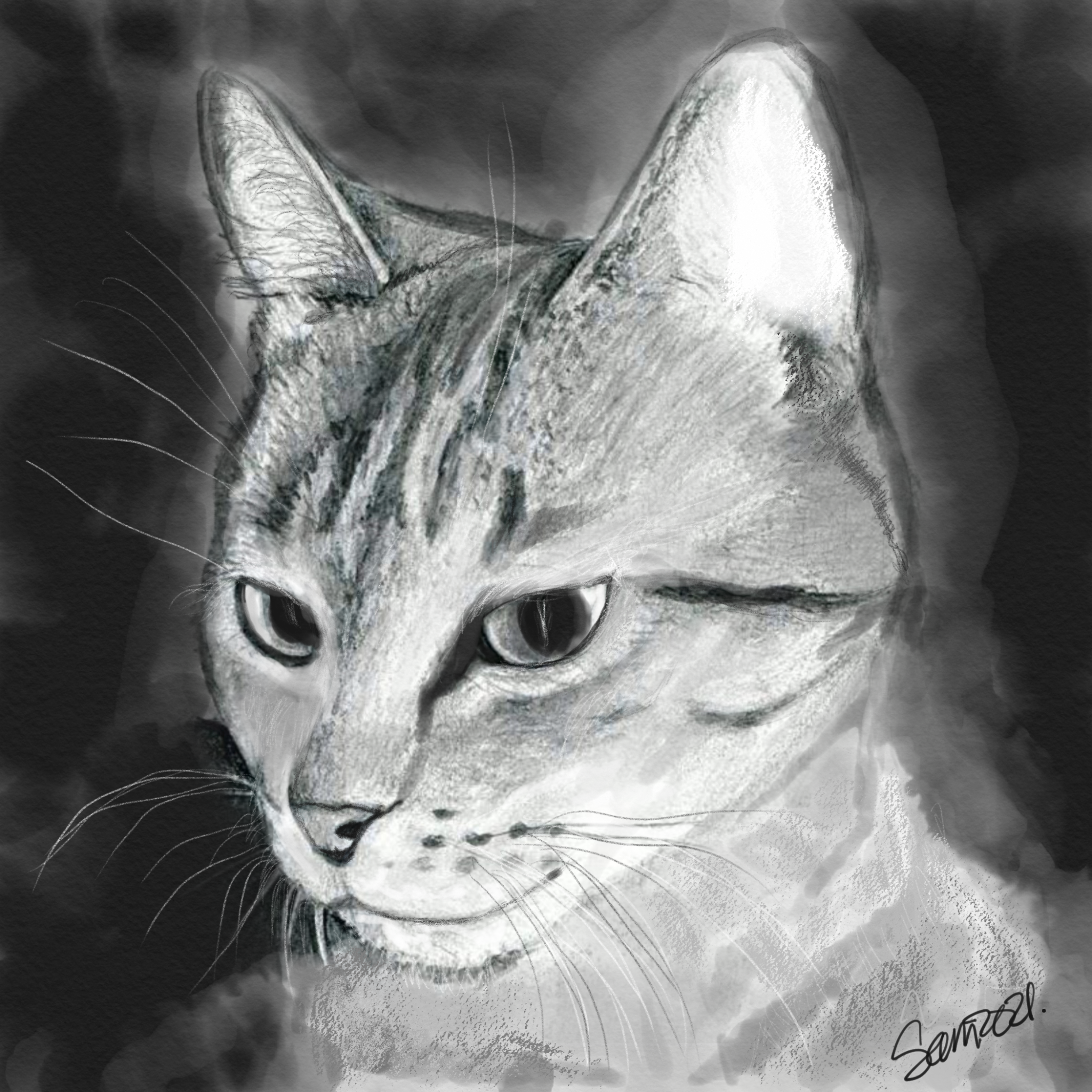 IMG_2319.png