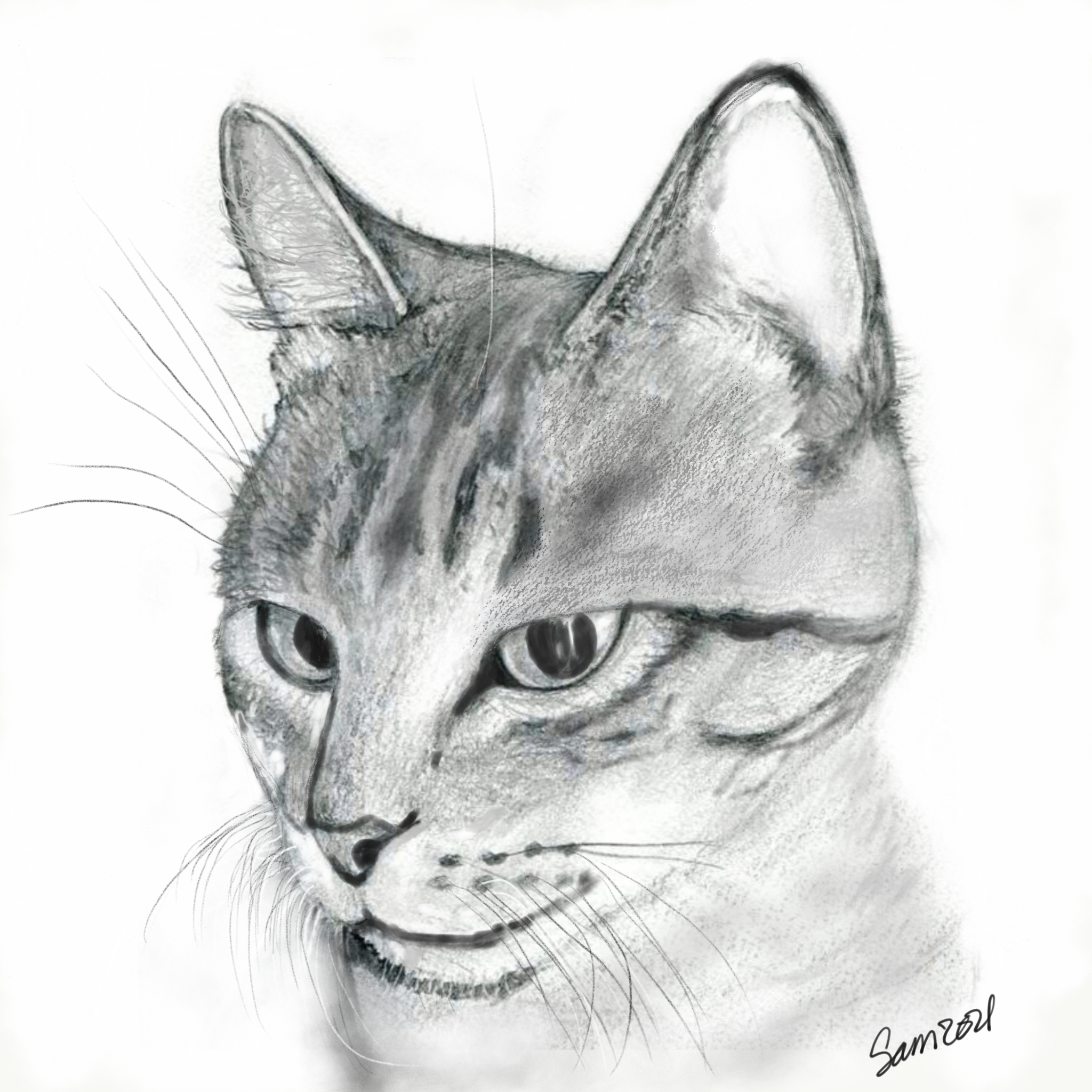 IMG_2318.png
