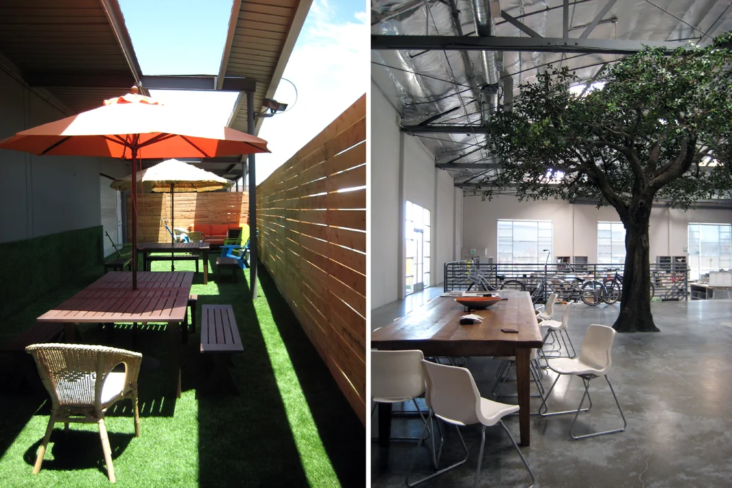 Patio and Tree double-1067.jpg
