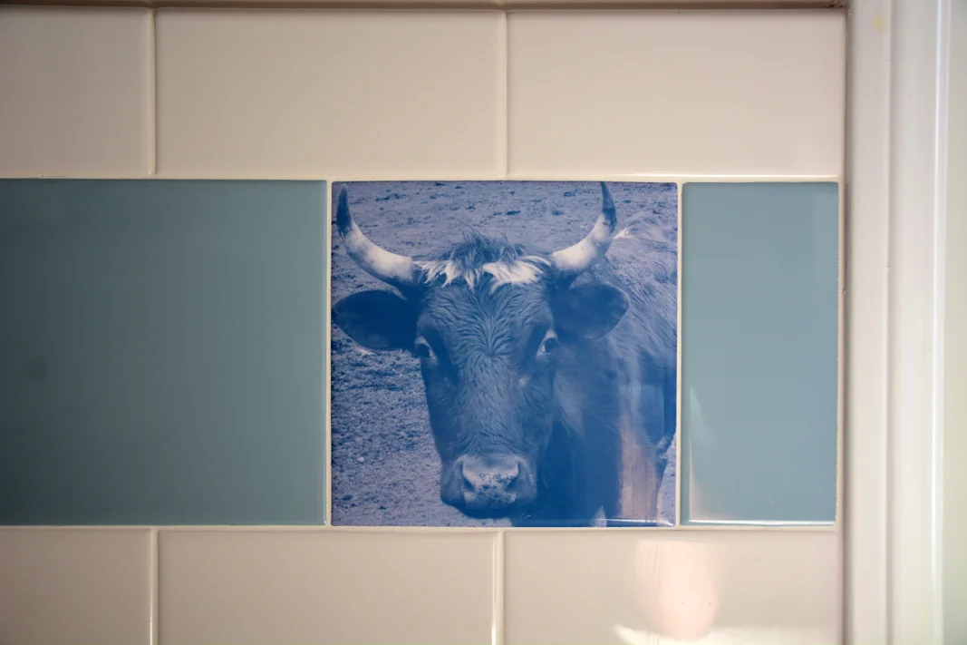 06a cow tile-web.jpg