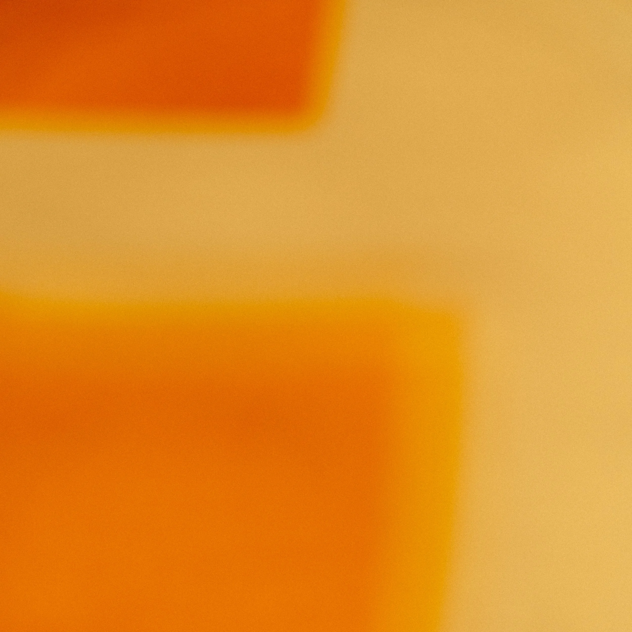 colors007_jc_buck_2026.jpg