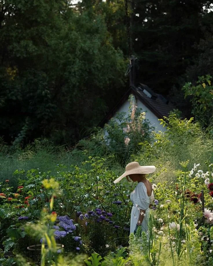 hellolovelyliving outdoor oasis