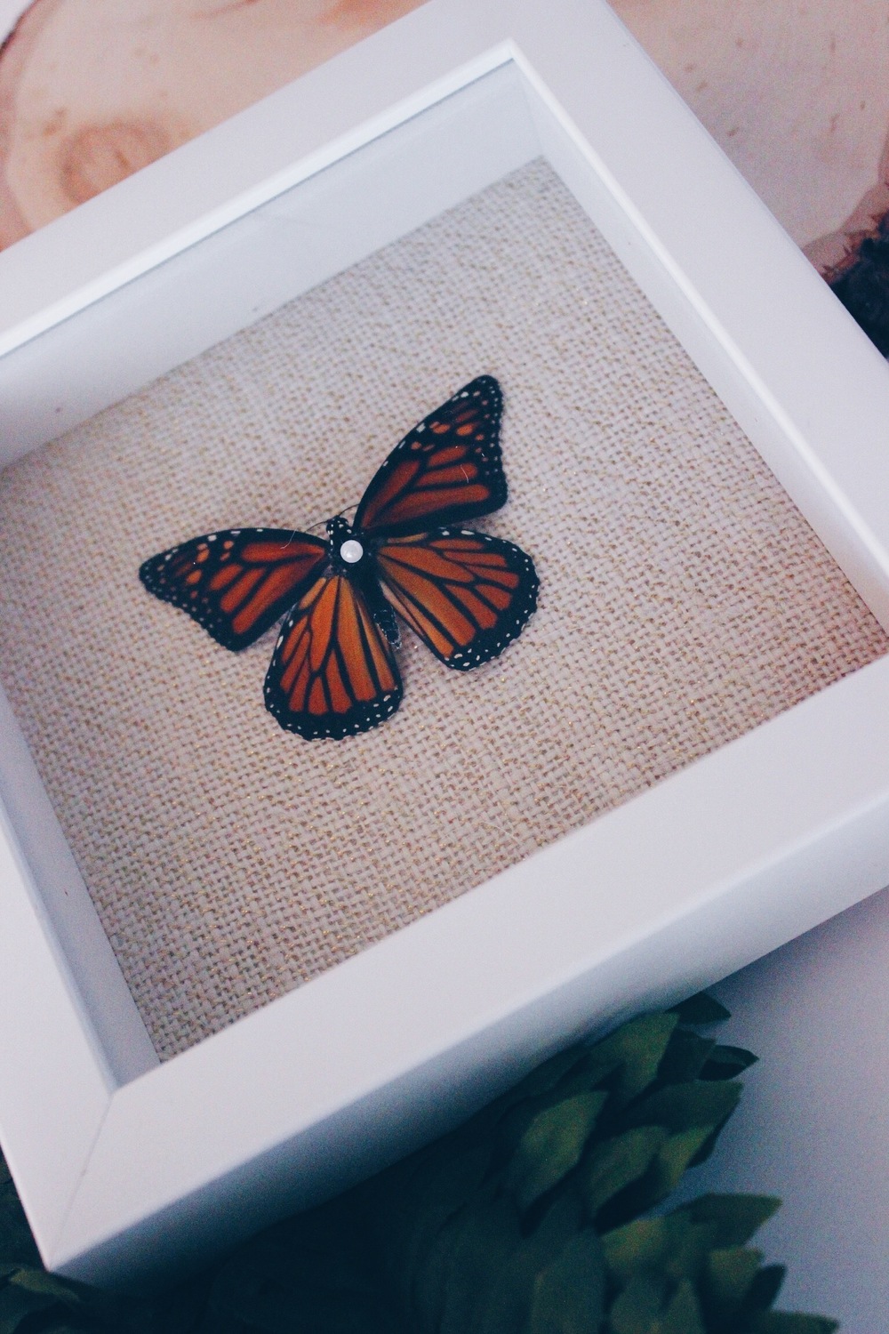 Butterfly shadow box