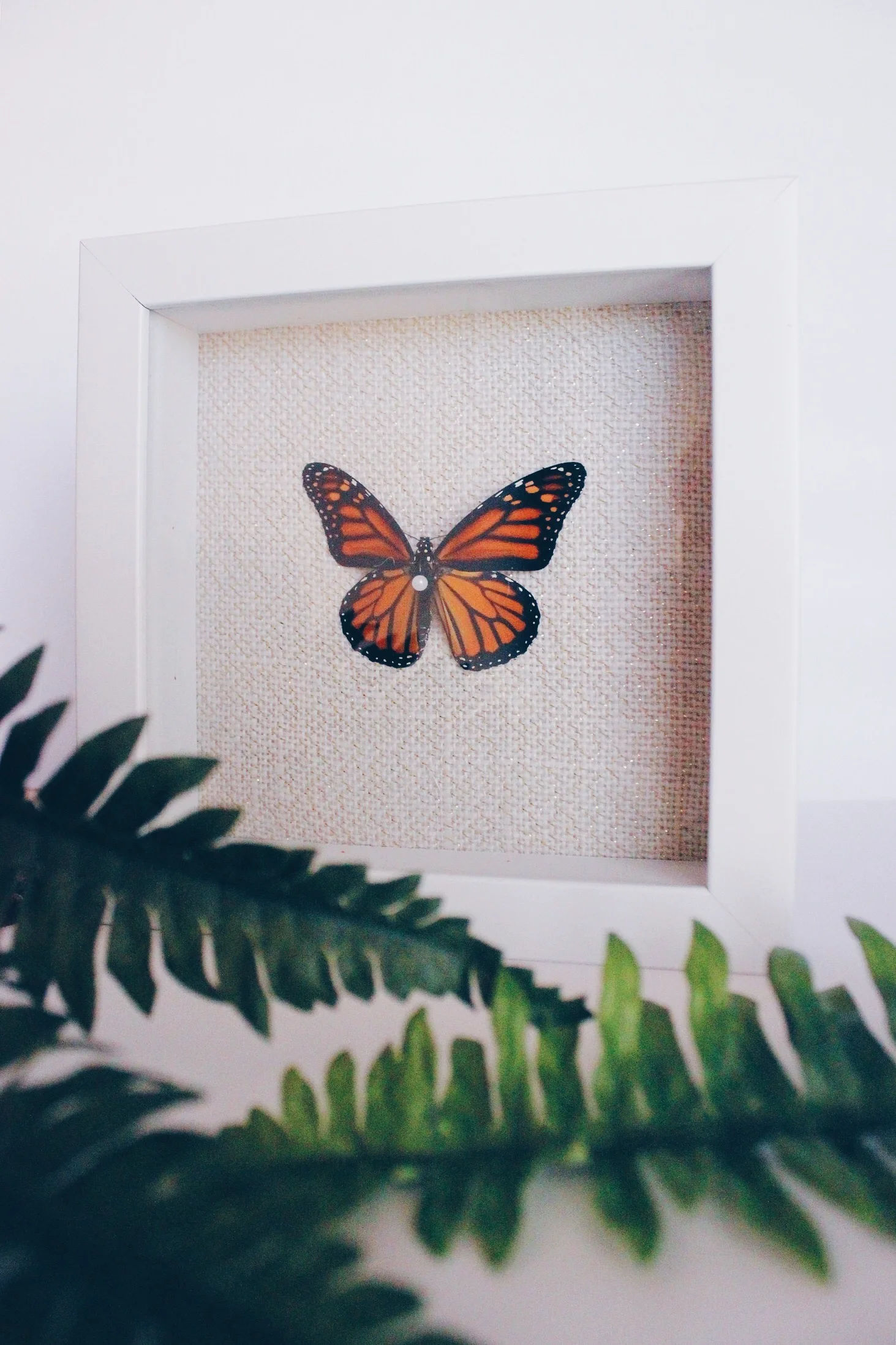 DIY | Butterfly Shadow Box