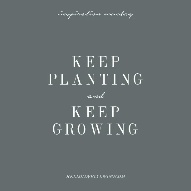 Inspiration Monday | Perseverance