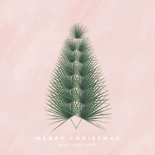 Merry Christmas from Hello Lovely Living