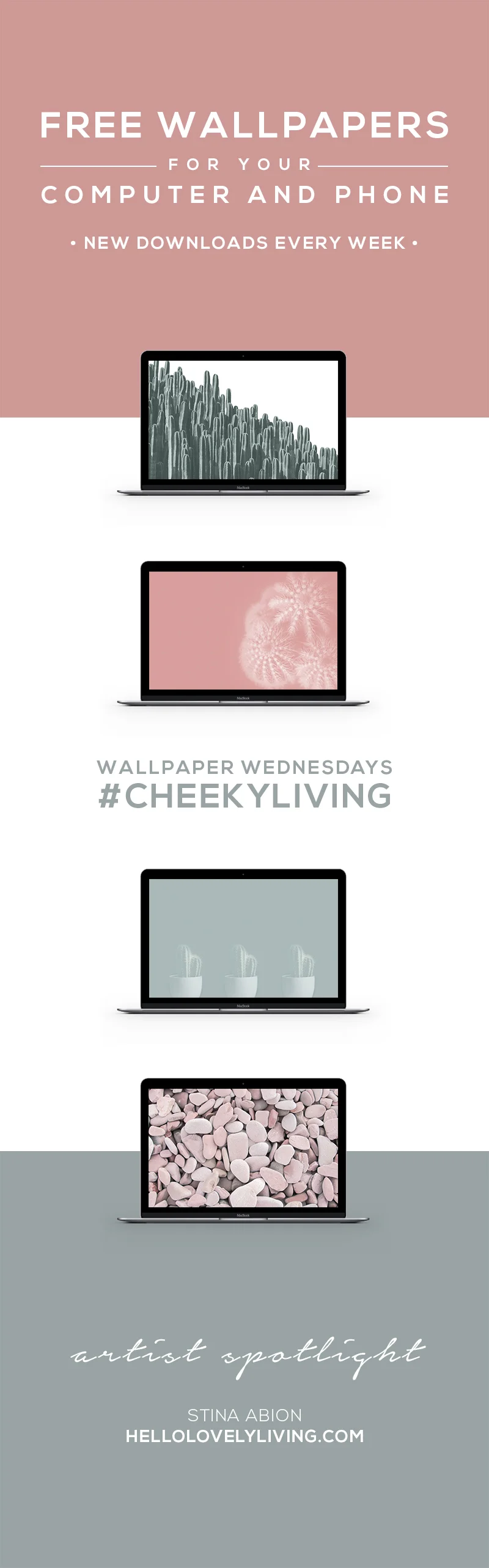 Wallpaper Wednesdays 23 | Cactus