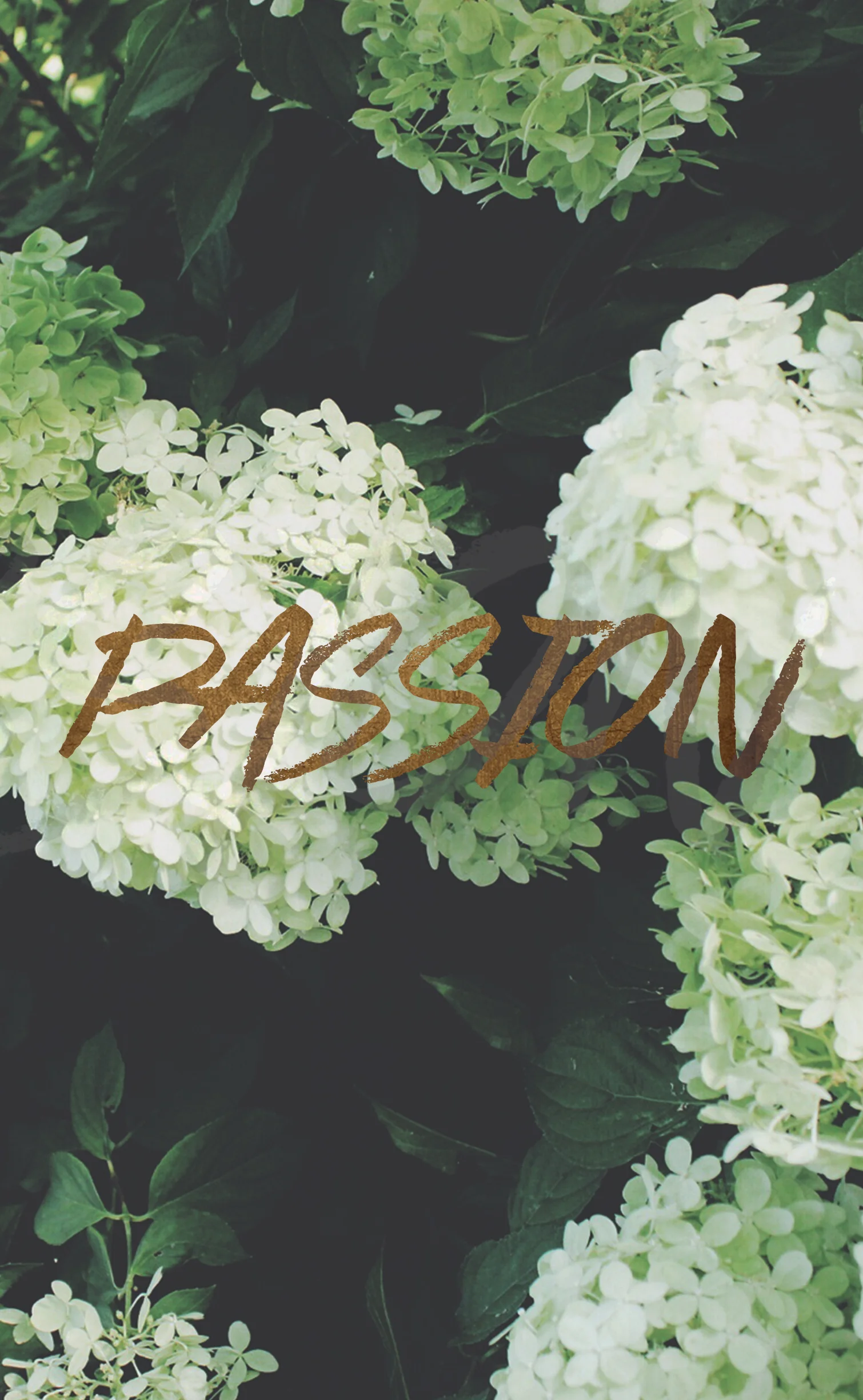 Announcing Wallpaper Wednesdays - Free wallpapers for your desktop and phone