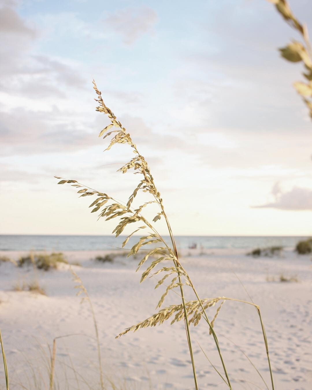 Hello Lovely Travel | Destin, Florida