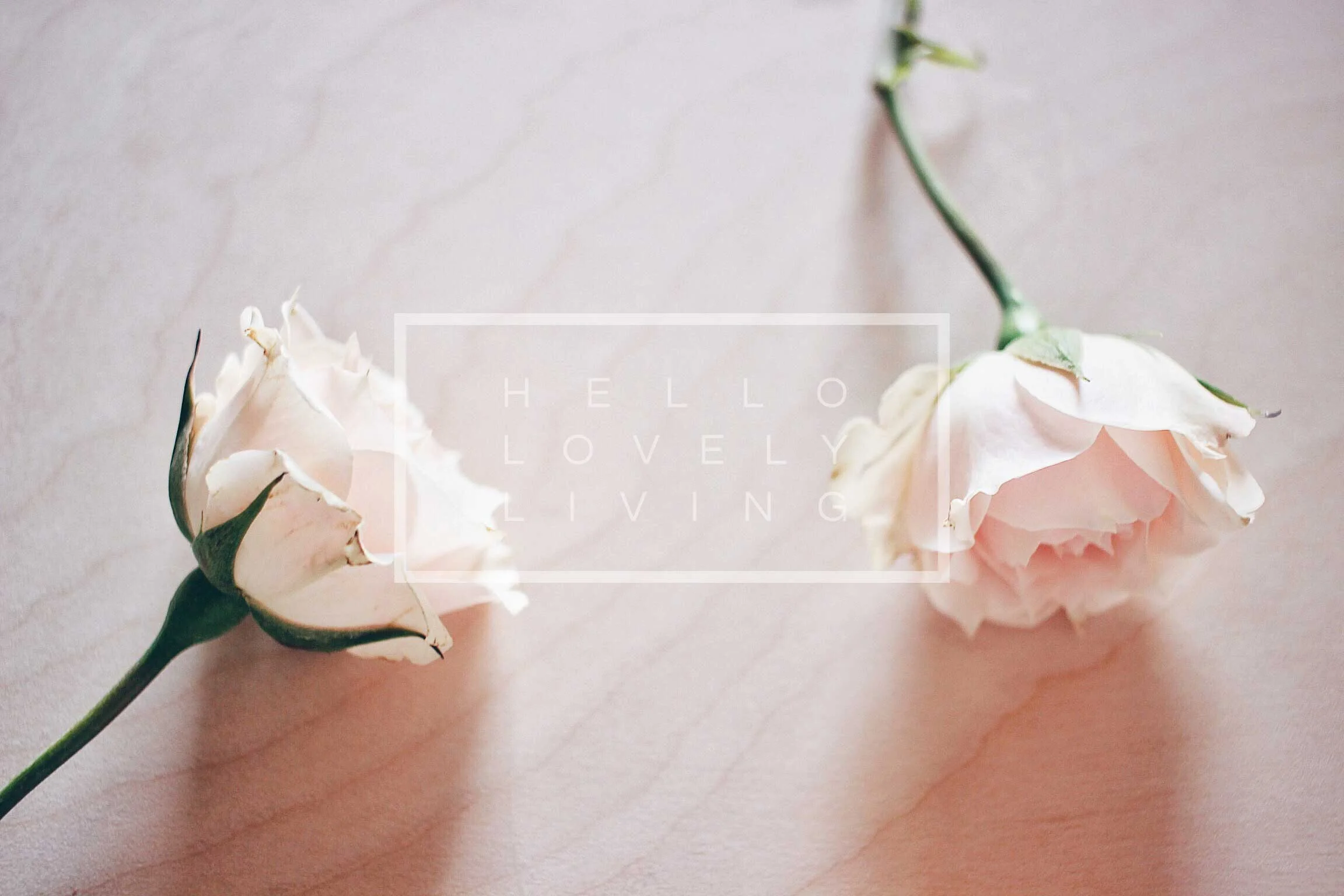 Blush Rose Styled Stock Photos | Series 5 - 4 of 5