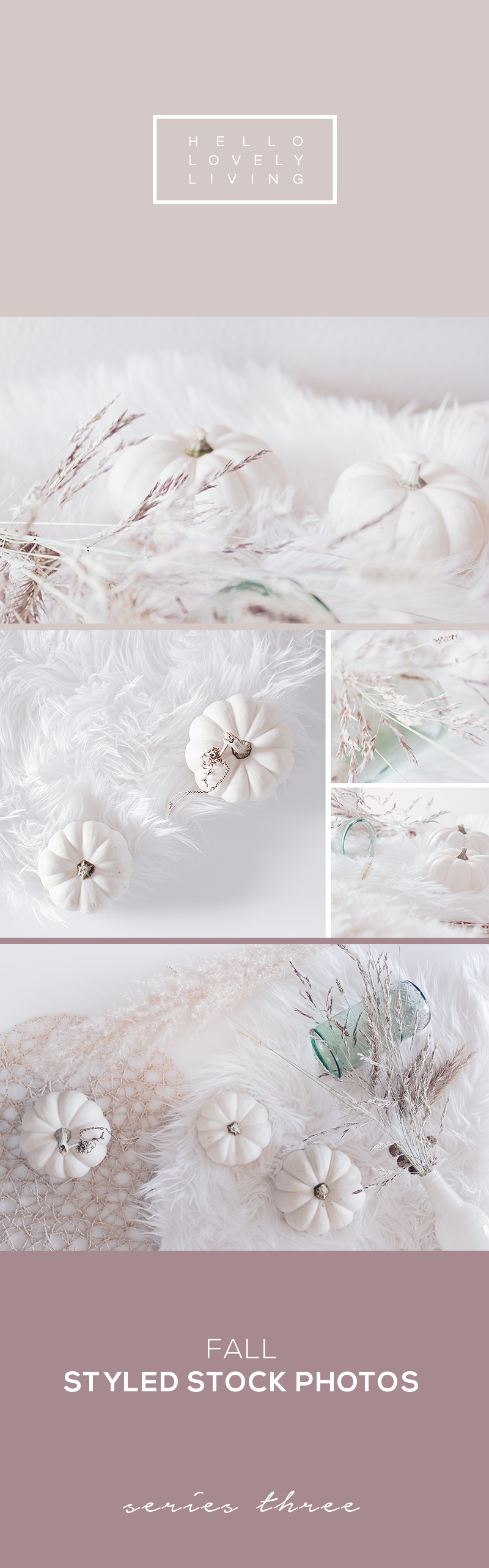 hello-lovely-living-styled-stock-fall-3.png