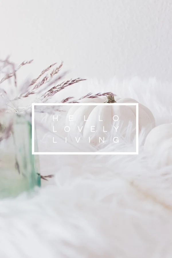 Fall Styled Stock Photos | Series 1 - 2 of 5