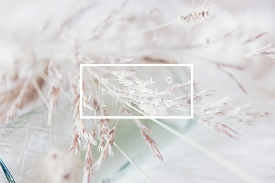 Fall Styled Stock Photos | Series 3 - 3 of 5