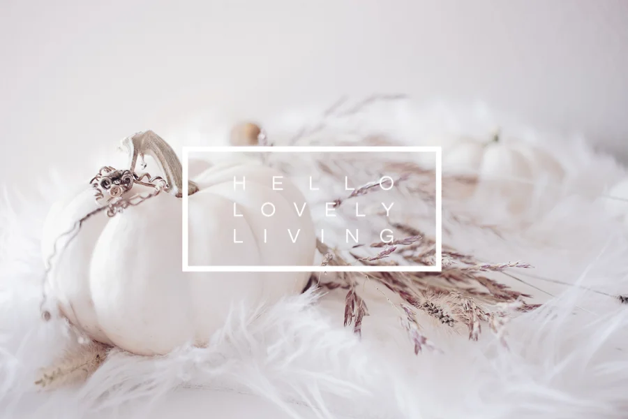 Fall Styled Stock Photos | Series 4 - 5 of 5