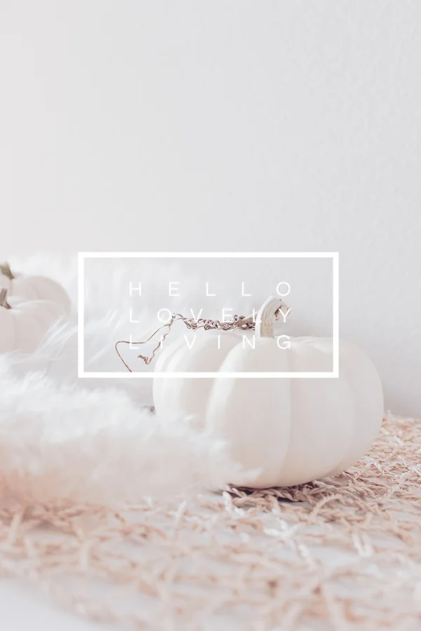 Fall Styled Stock Photos | Series 5 - 3 of 5