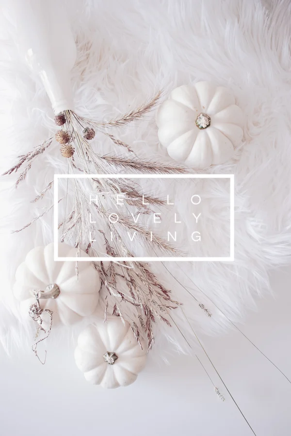 Fall Styled Stock Photos | Series 5 - 4 of 5