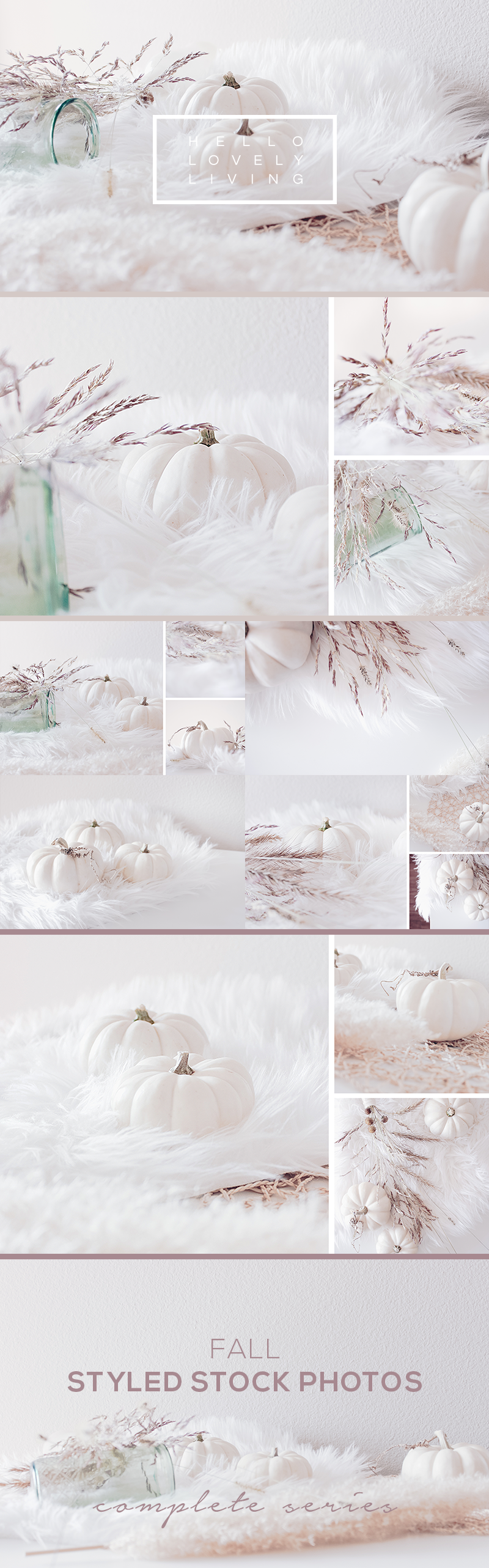 hello-lovely-living-styled-stock-fall-all.png