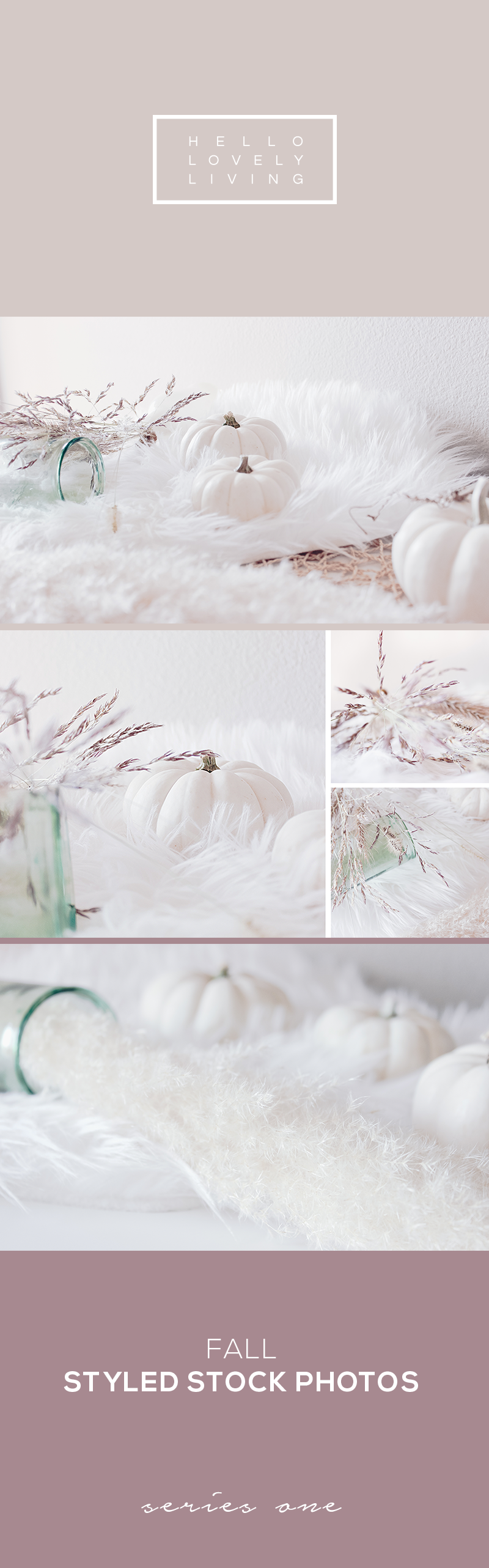 hello-lovely-living-styled-stock-fall-1.png