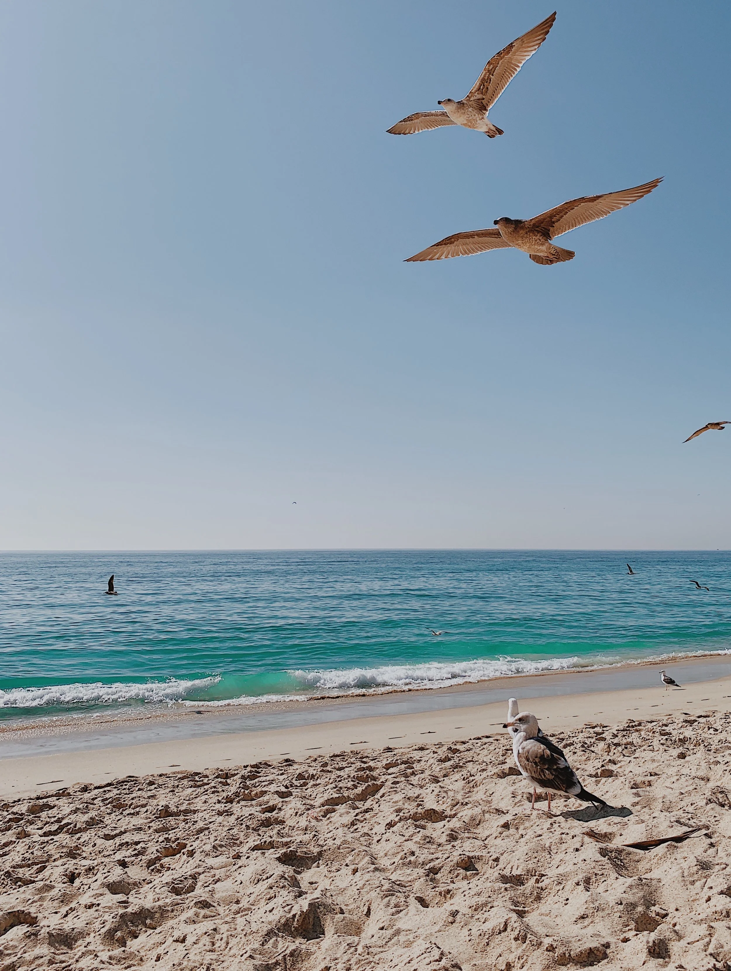 Inviting Positive Energy When Everything Feels Bleak