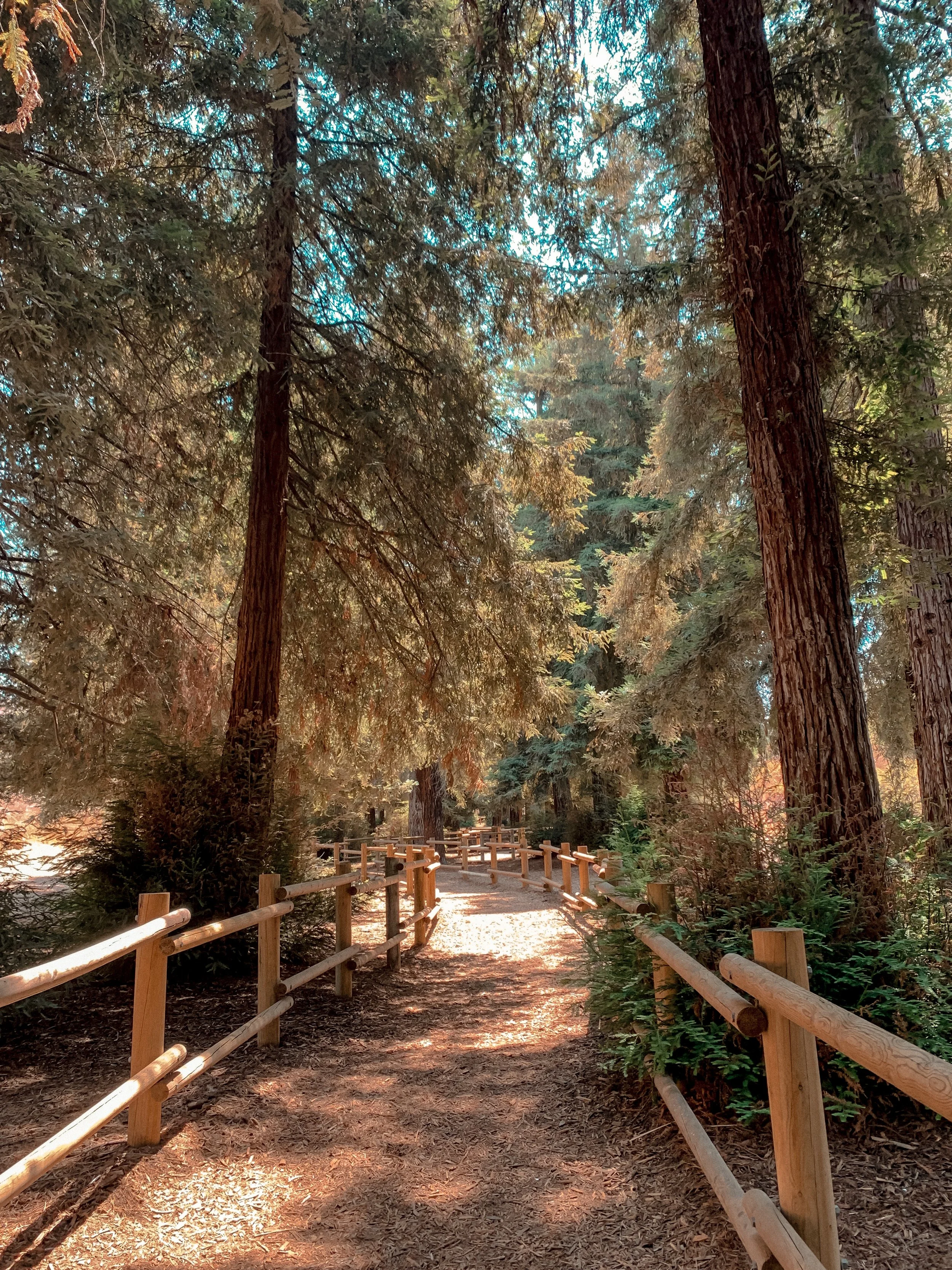 How Canadians Can Relax This Summer