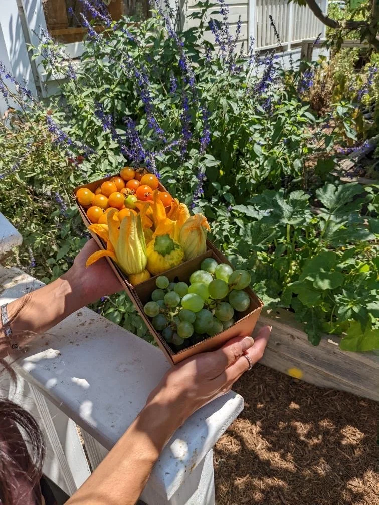 Tips To Navigate Fall And Winter With Better Health