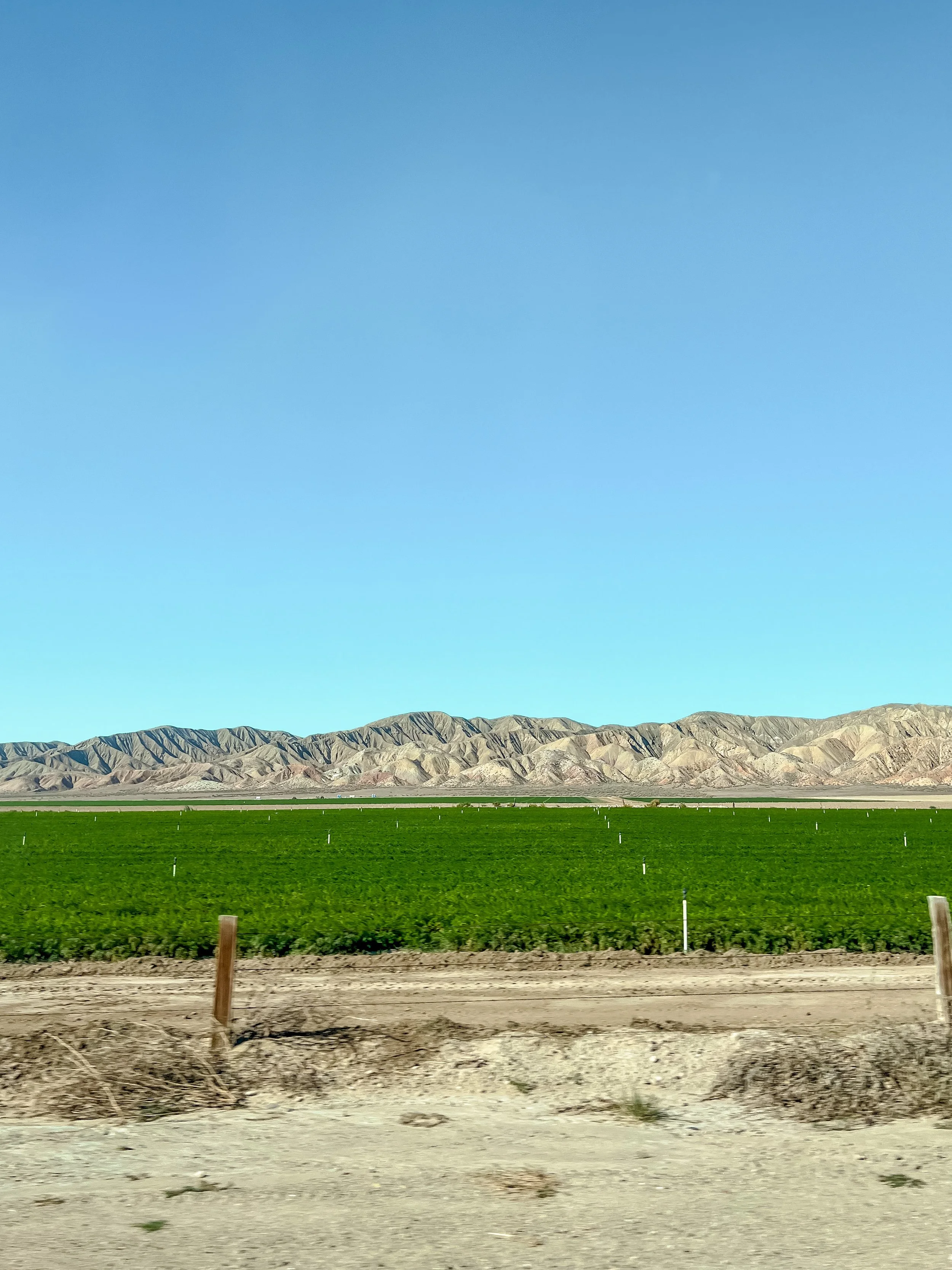 Planning A Solar Farm: Things To Know Before Getting Started
