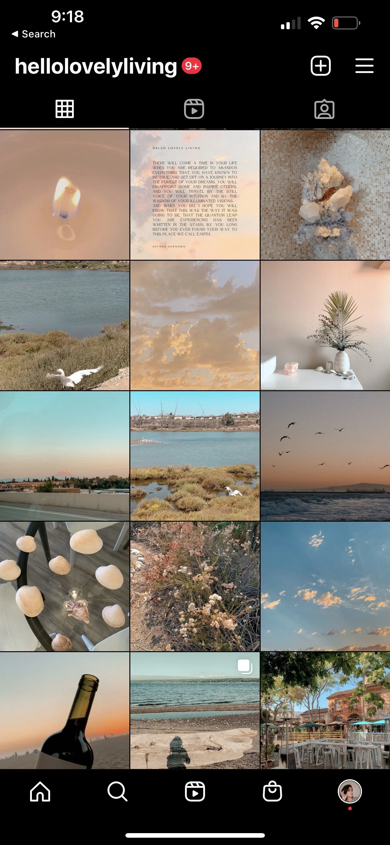 Do You Need A Degree For A Social Media Marketing Career?