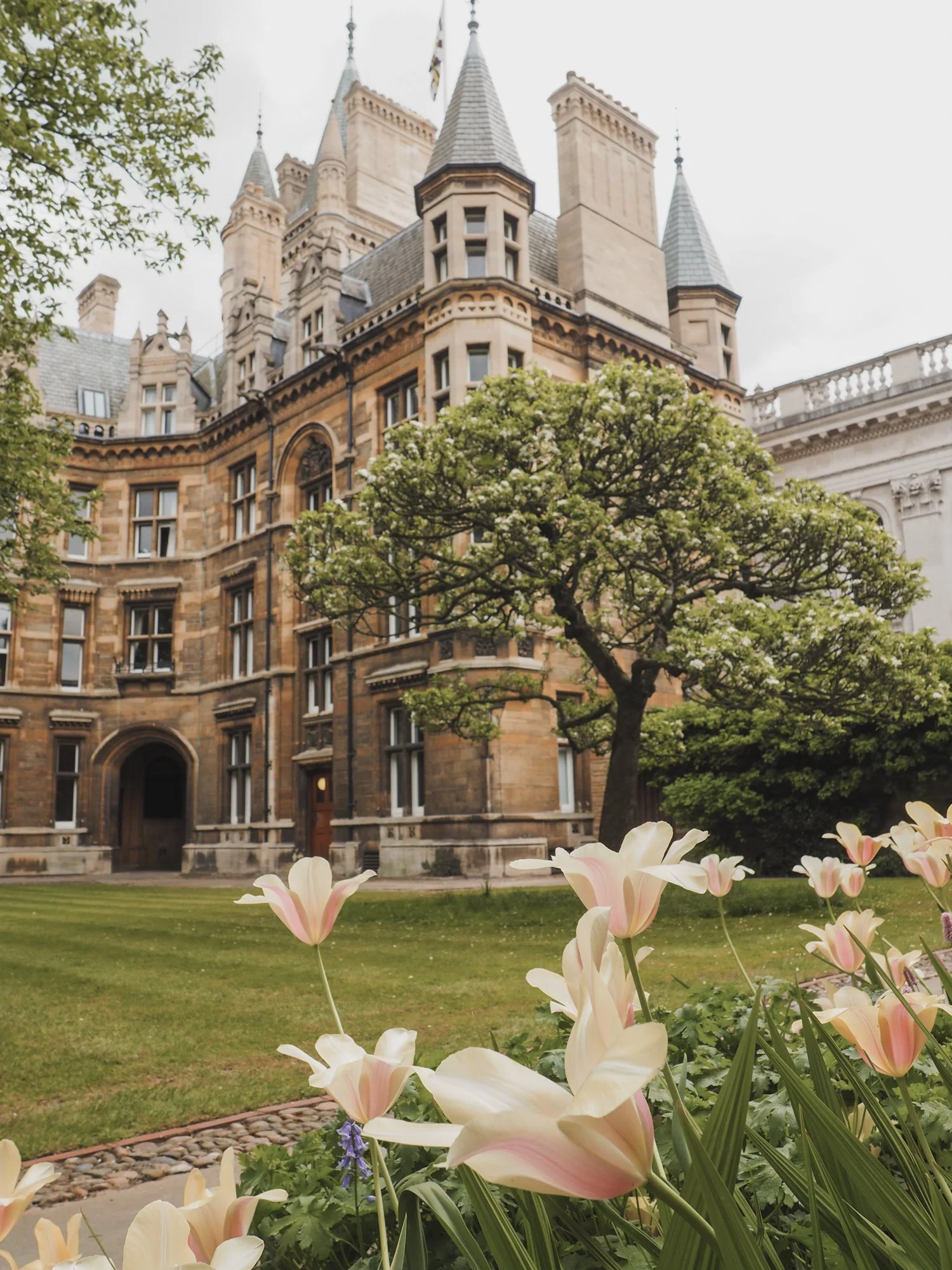 How To Empower Your Child For College Preparation 