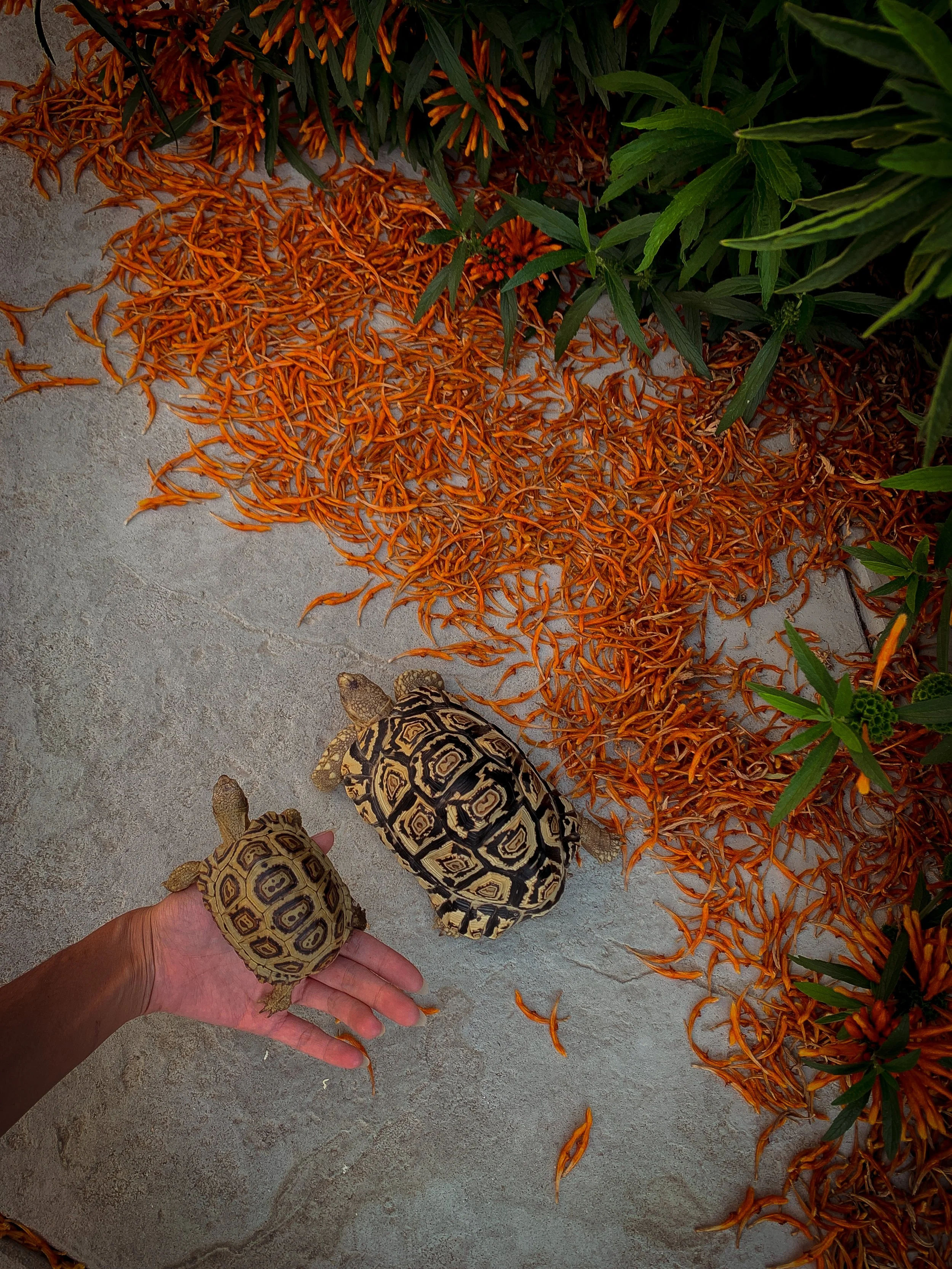 Cheer Up: How To Get Back Up When Life Knocks You Down