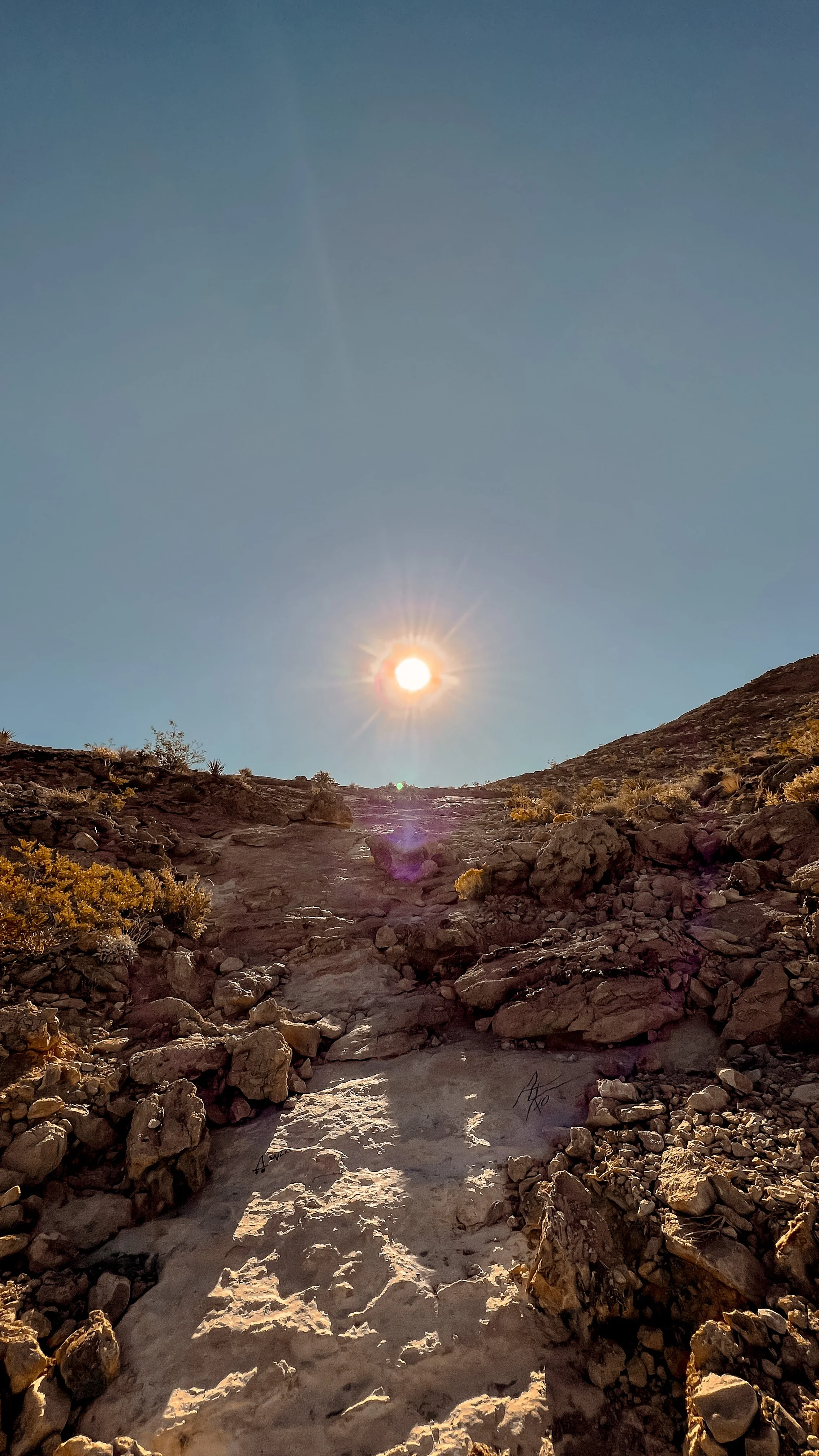 Effective Stress Management: Unlock The Best Tools For Mental Peace 