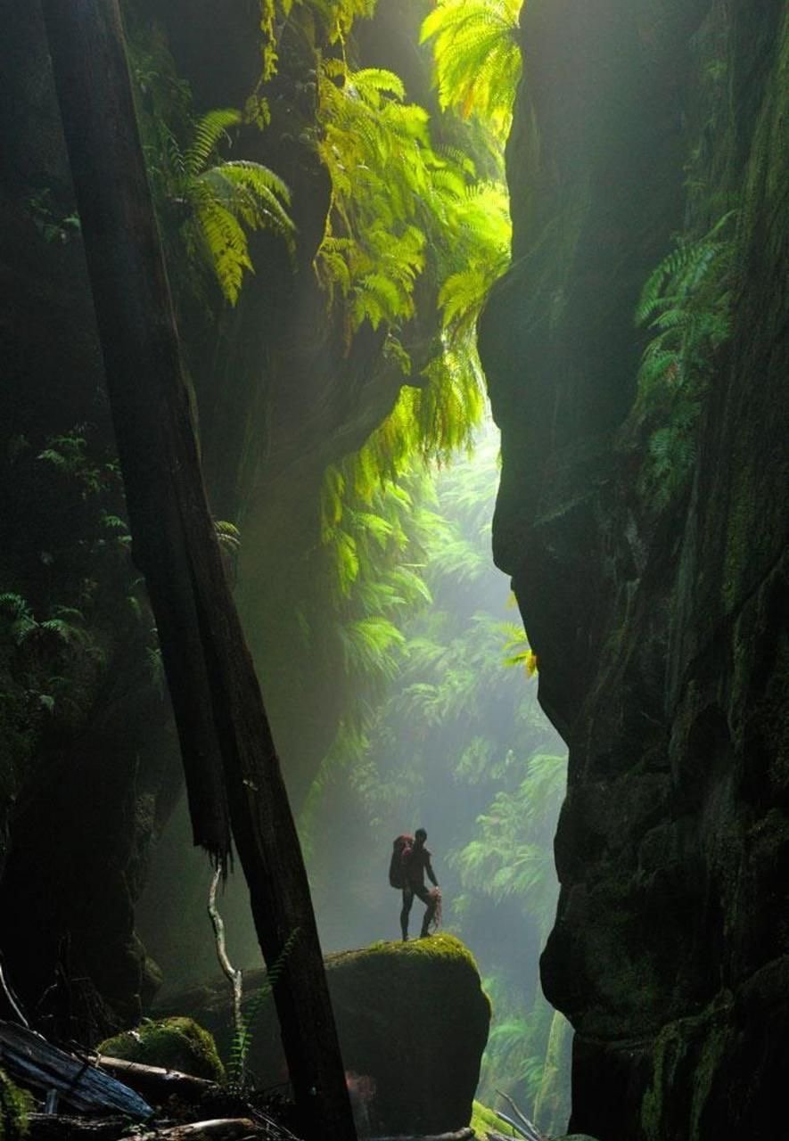 Australia: Best National Parks By Caravan