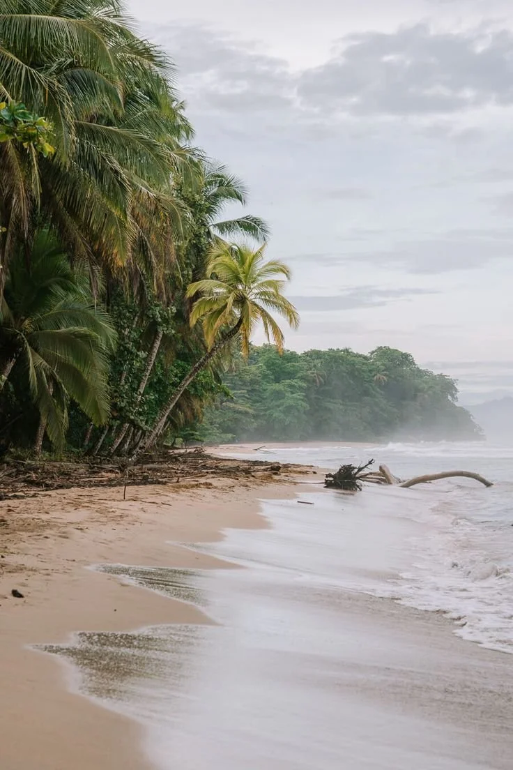 A World Of Opportunity: Why Invest In A Holiday Home Overseas?