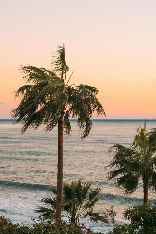 Embracing Change: Why Moving To Florida Can Help Heal A Broken Heart