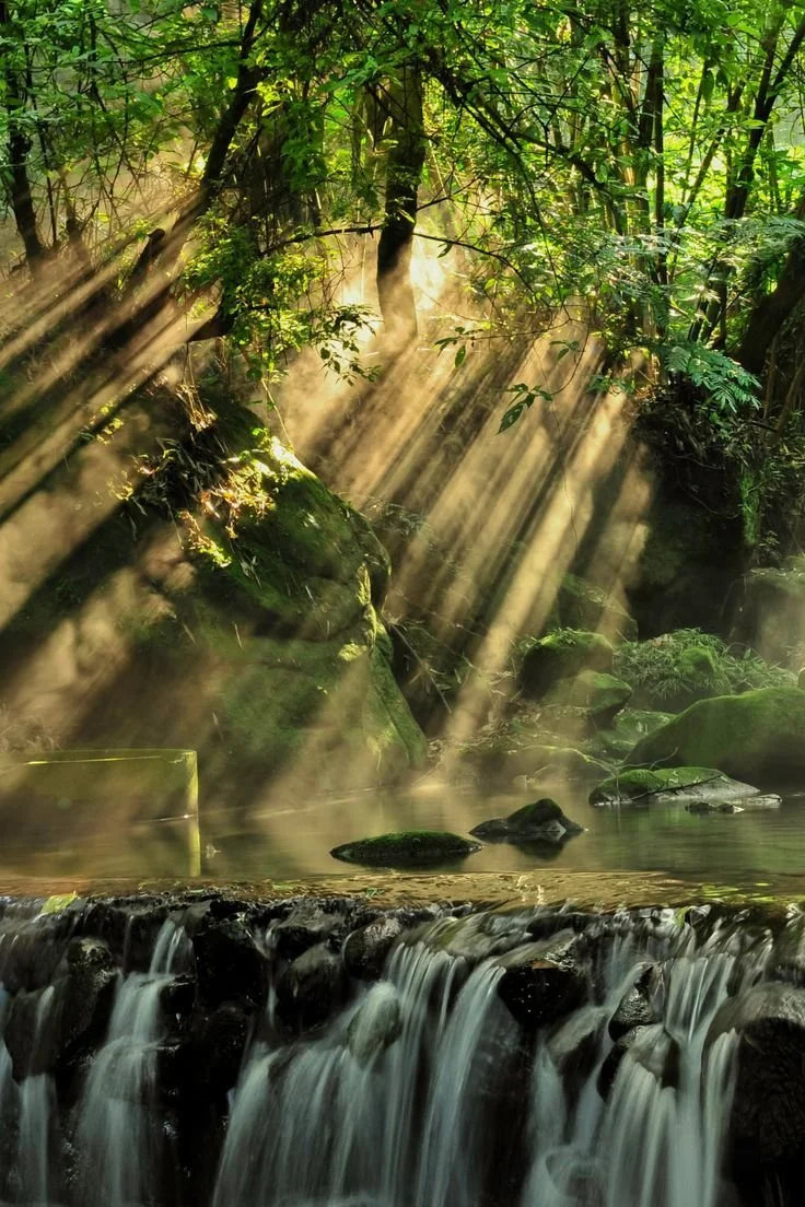 Unique Approaches To Embracing Wellness