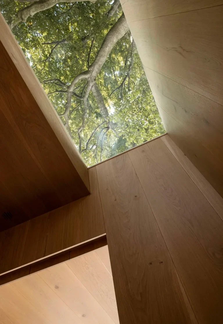 How Skylights And Rooflights Enhance Modern Spaces