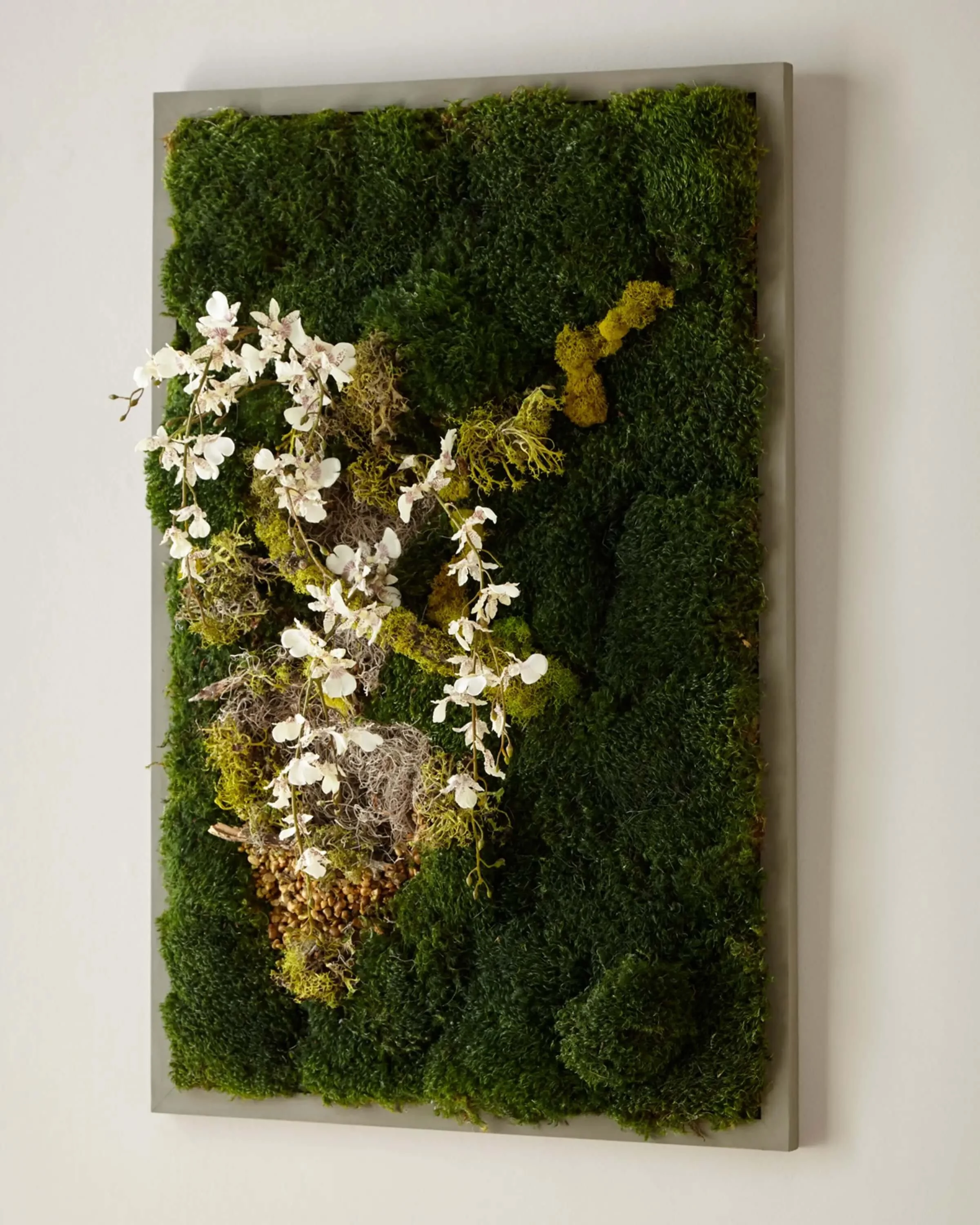 Transform Your Australian Home With A Vertical Garden